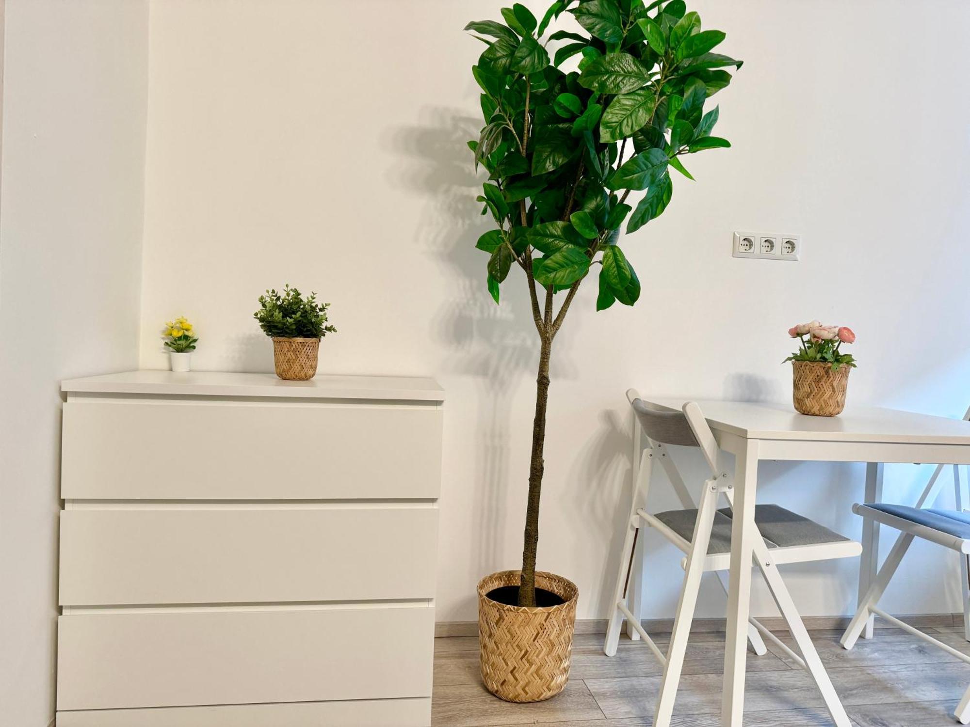 Stylish Schonbrunn Apartments With Free Parking Wien Exterior foto